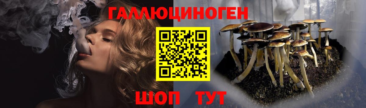 Усть-Илимск  Галлюциногенные грибы Magic Shrooms  как найти закладки  Вход с VPN 